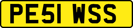 PE51WSS