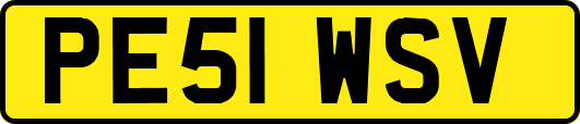 PE51WSV