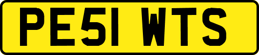 PE51WTS
