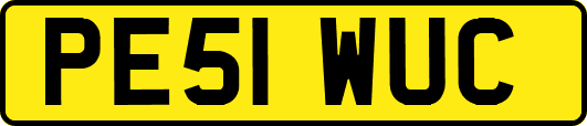 PE51WUC