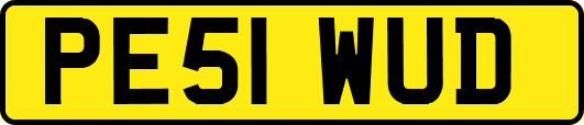 PE51WUD