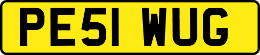 PE51WUG