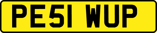 PE51WUP