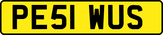 PE51WUS