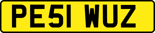 PE51WUZ