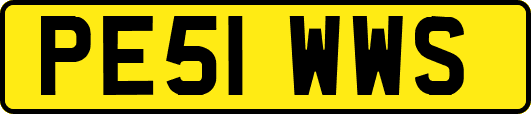 PE51WWS