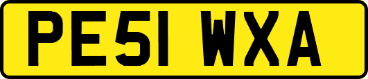 PE51WXA