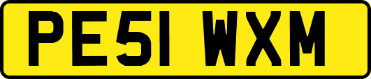 PE51WXM