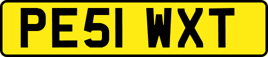 PE51WXT