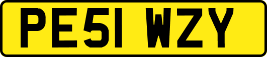 PE51WZY