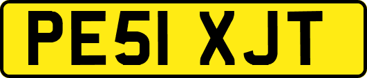 PE51XJT