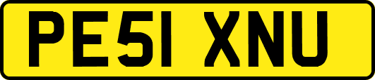 PE51XNU