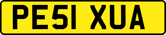 PE51XUA