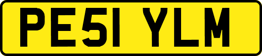 PE51YLM