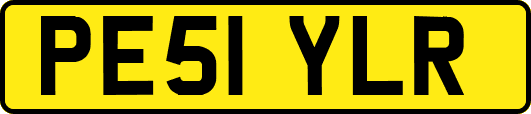 PE51YLR