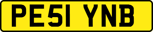 PE51YNB