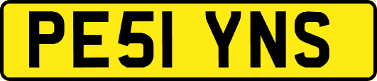 PE51YNS