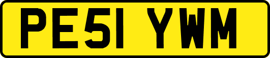 PE51YWM