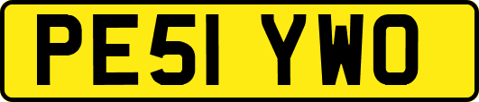 PE51YWO
