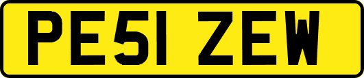 PE51ZEW