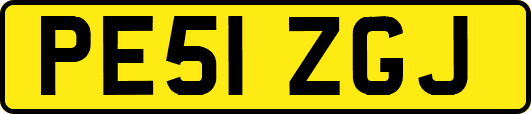PE51ZGJ