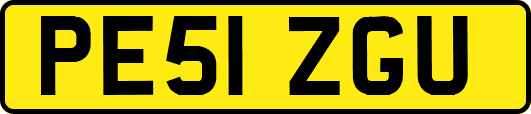 PE51ZGU