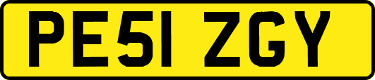 PE51ZGY