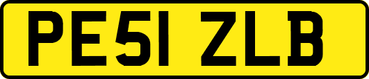 PE51ZLB