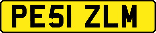 PE51ZLM
