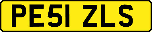 PE51ZLS