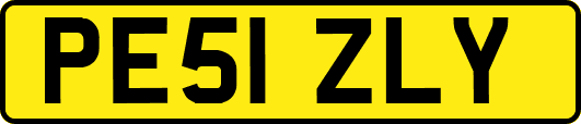 PE51ZLY