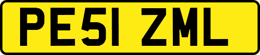 PE51ZML