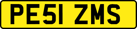 PE51ZMS