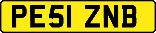 PE51ZNB