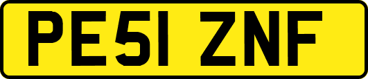 PE51ZNF