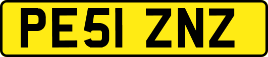 PE51ZNZ
