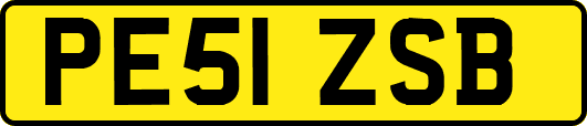 PE51ZSB