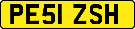PE51ZSH