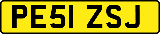 PE51ZSJ