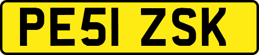PE51ZSK