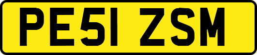 PE51ZSM