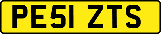 PE51ZTS