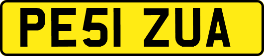 PE51ZUA