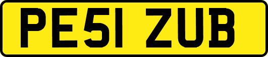 PE51ZUB