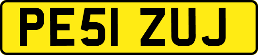 PE51ZUJ