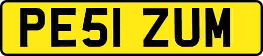 PE51ZUM