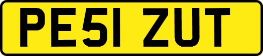 PE51ZUT