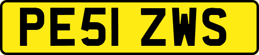 PE51ZWS