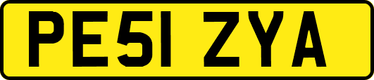 PE51ZYA