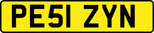 PE51ZYN